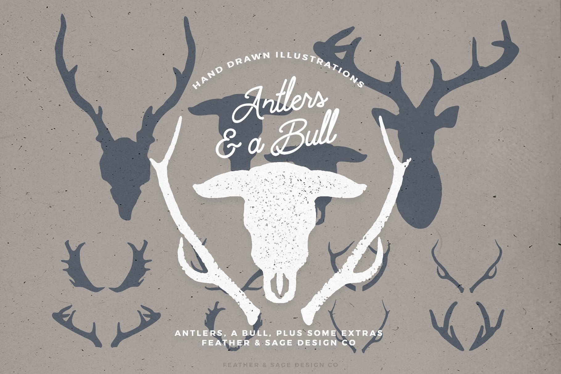 鹿角＆公牛手绘矢量插图 Antlers & a Bull Vector Graphics