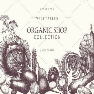 手绘蔬菜矢量图形插画 Hand Drawn Vegetables Collection
