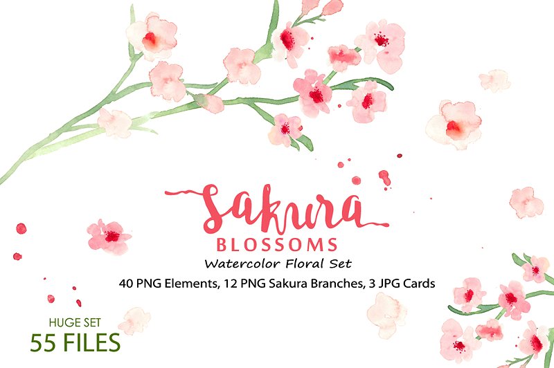 水彩樱花花卉插画素材合集 Sakura Blossoms – Watercolor Clipart