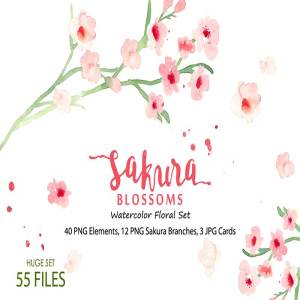 水彩樱花花卉插画素材合集 Sakura Blossoms – Watercolor Clipart
