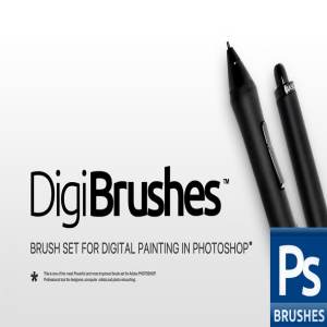 RM出品数码画笔笔画PS笔刷 RM PRO Digi Brushes