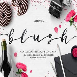 英文草书字体&手绘水彩纹理/Logo模板 Blush Typeface + Logo Kit (AI)