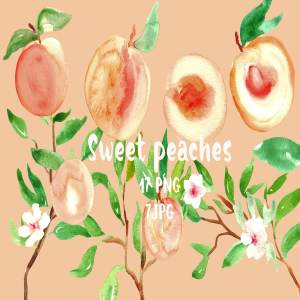 水蜜桃水彩剪贴画 Peach. Watercolor clipart.