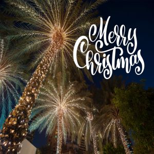 圣诞装饰棕榈高清背景图素材 Christmas palm