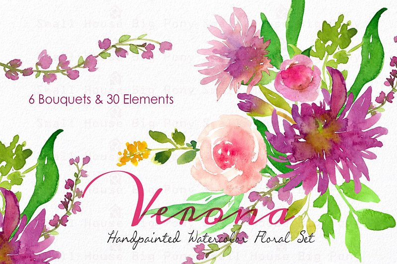 维罗纳-水彩花卉套装 Verona – Watercolor Floral Set