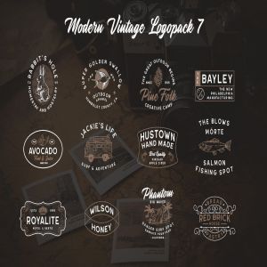 复古图形文字风格Logo设计模板合集07 Modern Vintage Logopack 07