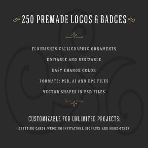 250款字母饰品组合装饰Logo模板 250 ornaments logos & monograms插图3
