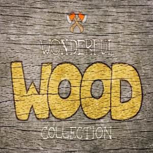 各种风格质朴实木纹理合集 Wonderful Wood Collection