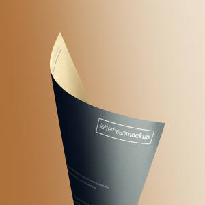 卷曲状态A4企业信纸设计效果样机模板 Curled A4 Letterhead Paper Mockup插图2