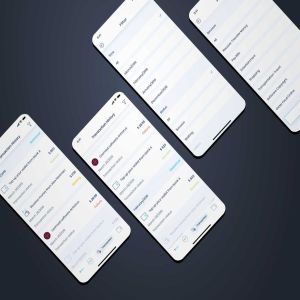 账单历史记录钱包APP应用UI设计 Transaction History – Wallet Mobile UI – FP