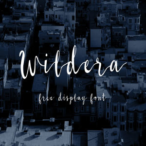 英文连笔书法字体下载 Wildera Display Font