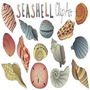 手绘矢量贝壳插画素材 Seashell Clipart Vector PNG & JPG