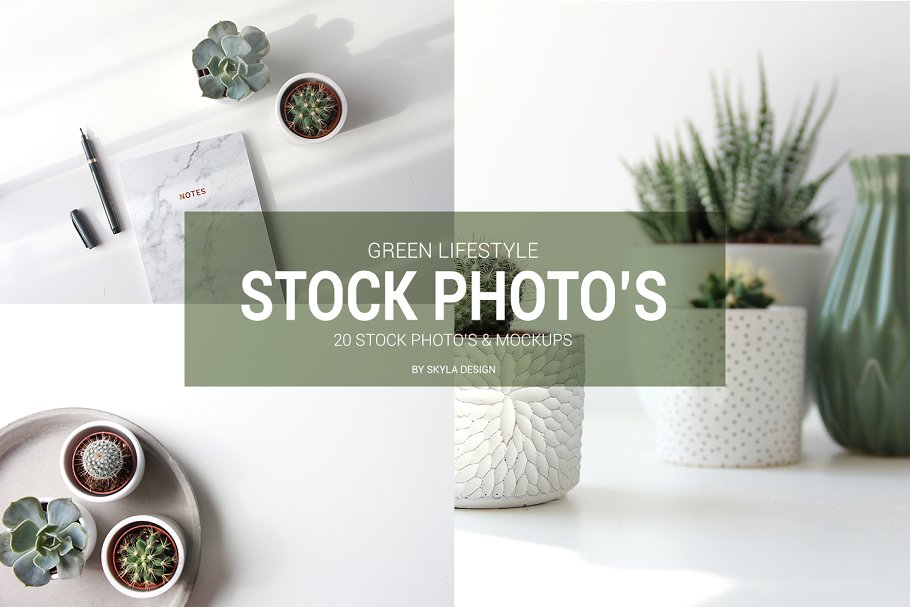 简约绿色生活方式照片样机模板 Stock photo mockups Green lifestyle