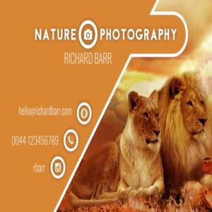 一组免费摄影师的名片模板下载[eps,psd,svg,png]