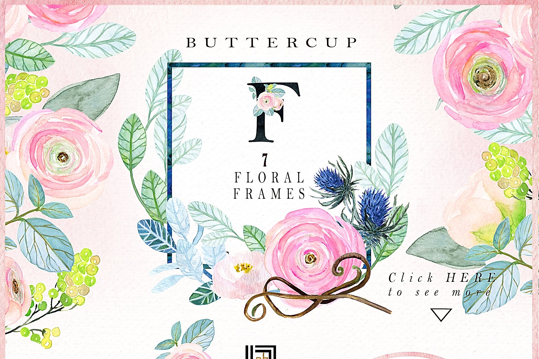 粉红色毛茛属植物水彩剪贴画 Buttercups. Ranunculus soft pink.