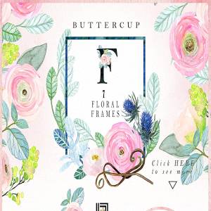 粉红色毛茛属植物水彩剪贴画 Buttercups. Ranunculus soft pink.