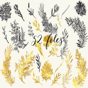 植物书法油墨剪贴画 Calligraphy ink clipart. Florygraphy