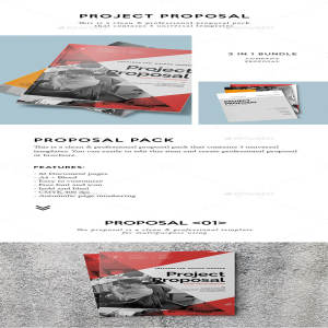 现代、专业、极简的杂志模板合辑下载 Proposal Bundle [indd]