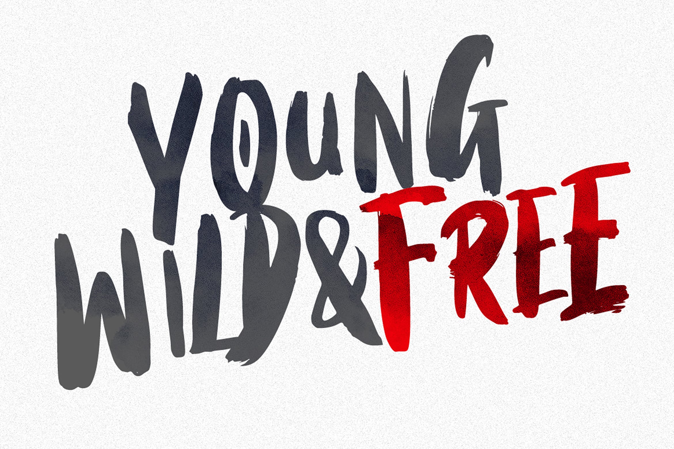 英文干笔刷画笔字体 Black Torch – Dry Brush Font