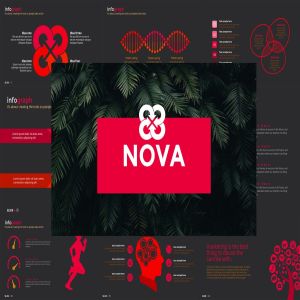 创意信息图表多图表PPT幻灯片设计模板 NOVA Powerpoint Template