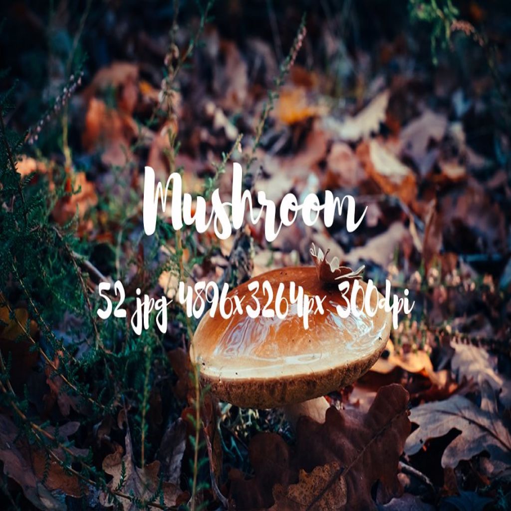 %title插图%num