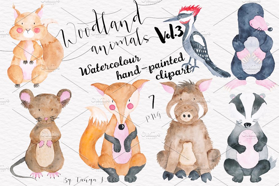 手绘水彩林地动物设计插画素材 Woodland animals Vol.3 Set