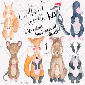 手绘水彩林地动物设计插画素材 Woodland animals Vol.3 Set