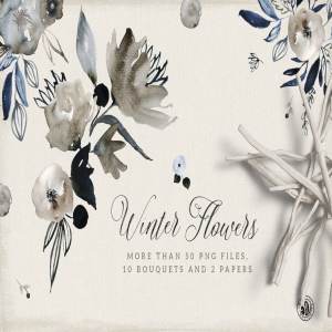 冬天花卉水彩剪贴画 Winter Flowers