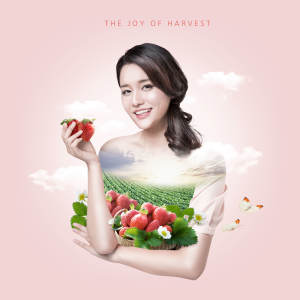 草莓收获双重曝光海报图片psd素材