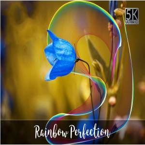 5K高清高分辨率彩虹叠层背景 5K Rainbow Perfection Overlays