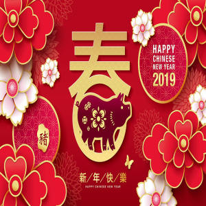 猪年（己亥年）矢量创意图形矢量素材模板 [EPS]