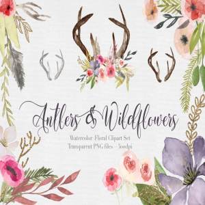 独特手绘花卉鹿角剪贴画合集 Antlers & flowers Watercolor Clipart