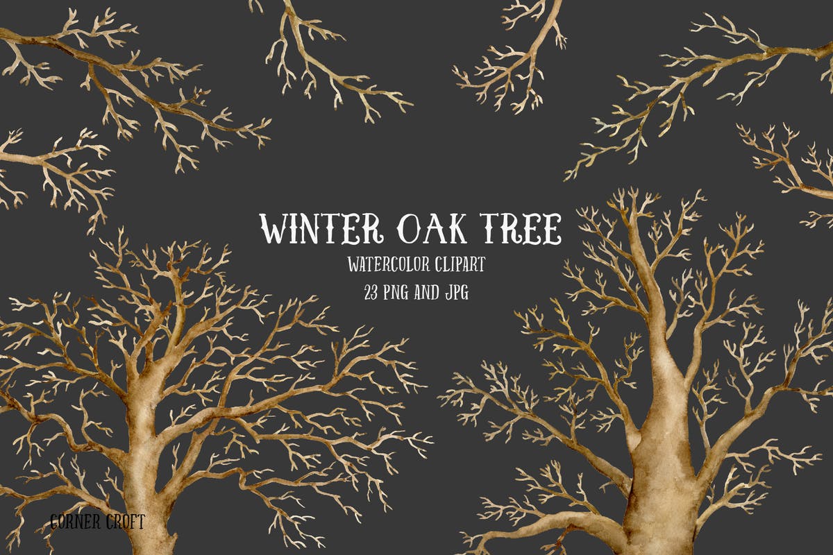 冬季橡树水彩剪贴画合集 Watercolor Clip Art Winter Oak Tree