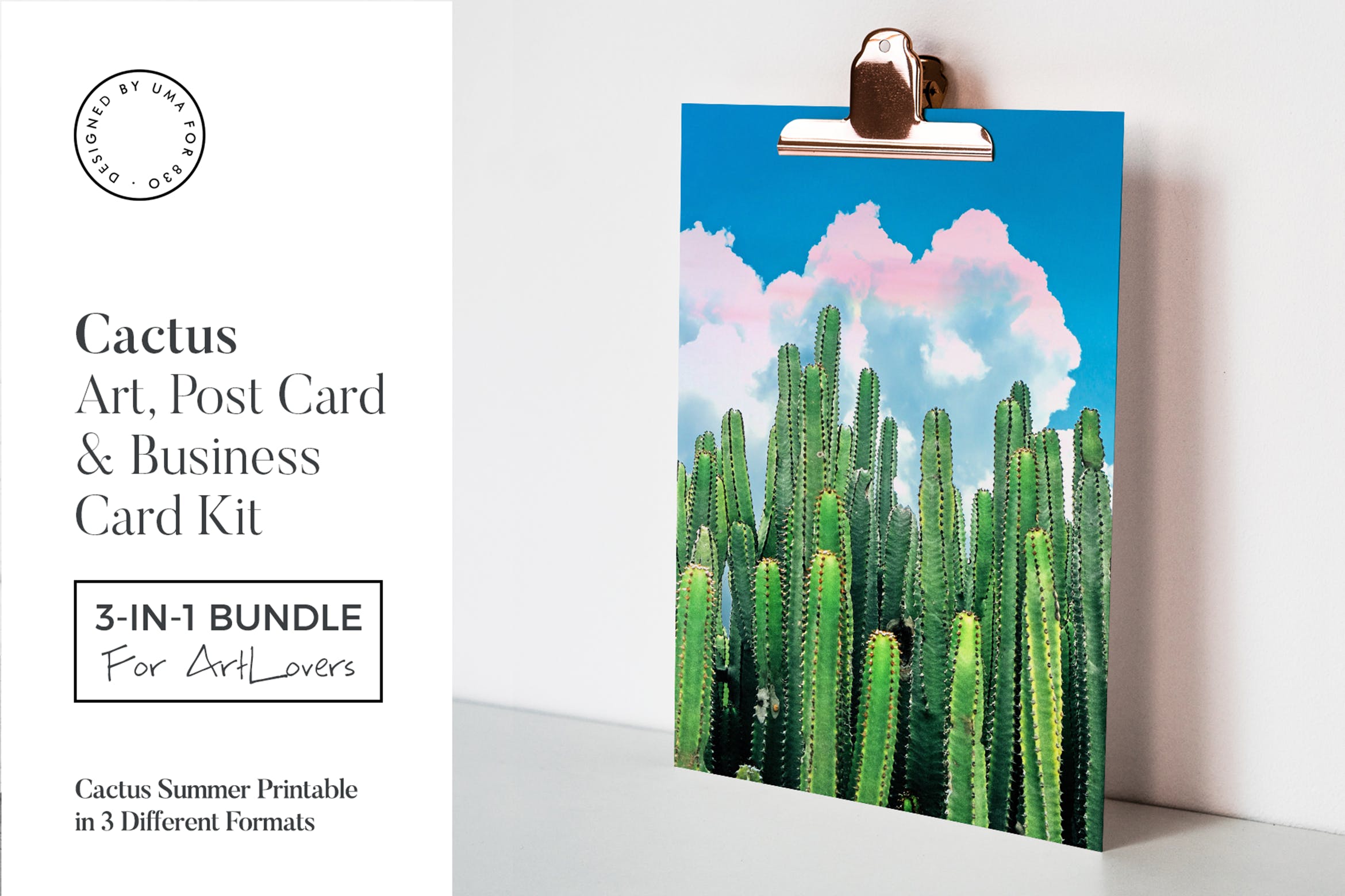 夏日仙人掌水彩艺术办公文具设计套装 Cactus Summer Art & Stationary Kit