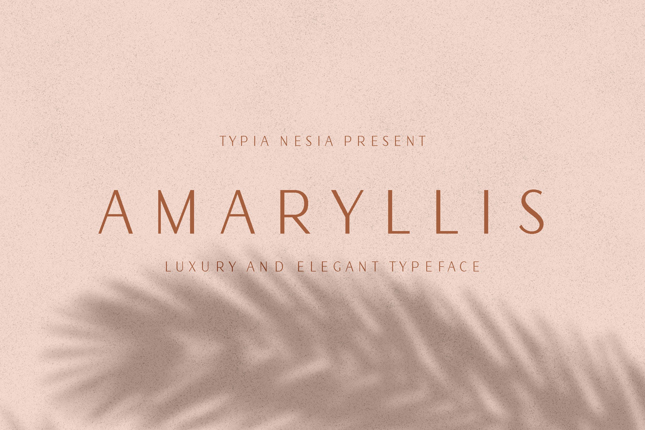 现代优雅风格英文无衬线字体 Amaryllis Sans
