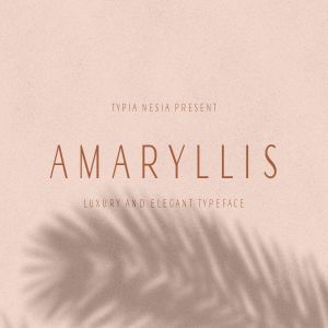 现代优雅风格英文无衬线字体 Amaryllis Sans