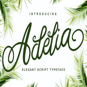 优雅笔画线条英文草书字体下载 Adelia – Elegant Script Typeface