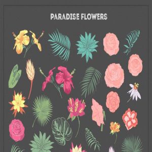 热带花卉和花束手绘插画素材 Paradise Flowers插图2