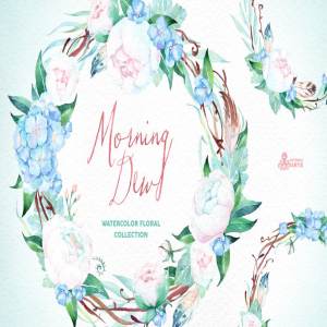 晨露水彩花卉水彩画插画 Morning Dew. Floral Collection