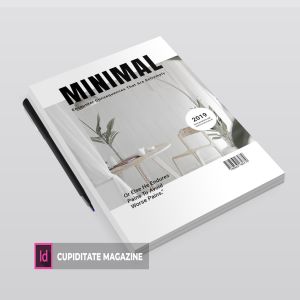 建筑/摄影/设计主题杂志设计模板 Cupiditate | Magazine