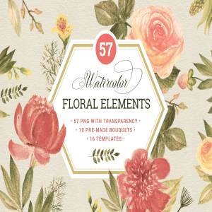 57款花卉插画元素 57 Floral elements & extrass