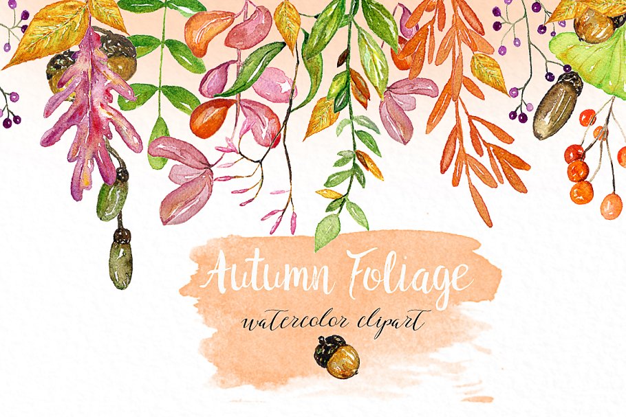 秋天树叶水彩插画 Autumn foliage. Watercolor images.