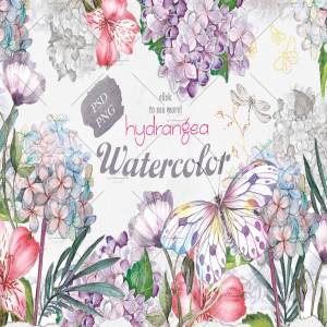 八仙花水彩剪贴画素材 Hydrangea flowers