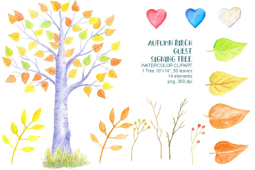 水彩秋季桦木客人签名树插画 Autumn Birch Guest Signing Tree