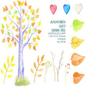 水彩秋季桦木客人签名树插画 Autumn Birch Guest Signing Tree