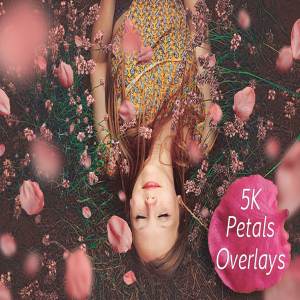 5K高清分辨率花瓣叠层覆盖层素材 5K Petals Overlays