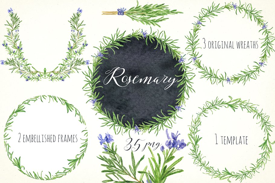 浪漫水彩手绘迷迭香剪贴画合集 Rosemary. Watercolor clip art.