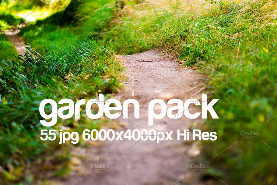花园取景高清照片素材 garden park photo pack