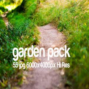 花园取景高清照片素材 garden park photo pack