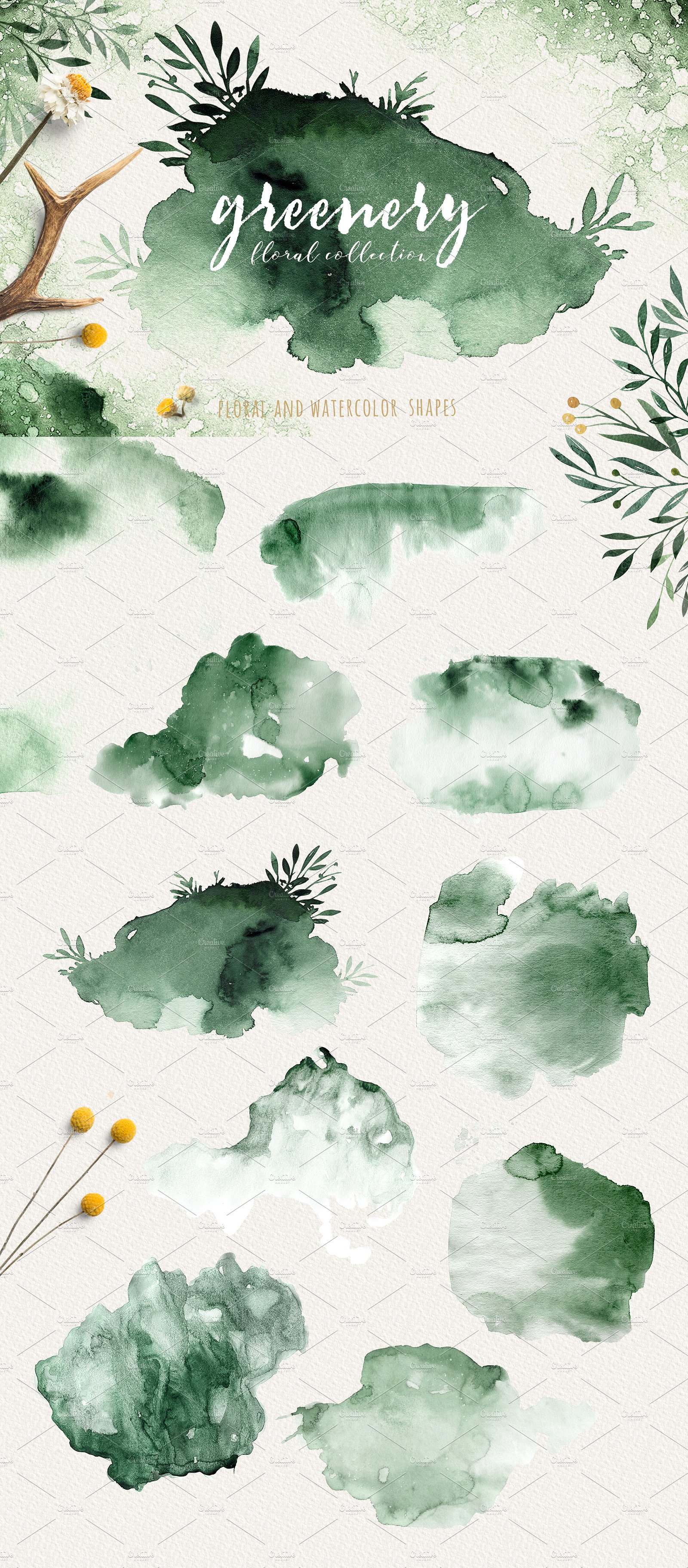 高品质手绘花卉树叶素材下载[psd,png,jpg]